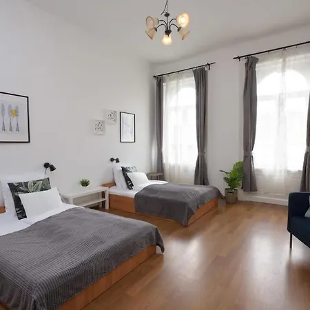 Large Cosy شقة بودابست