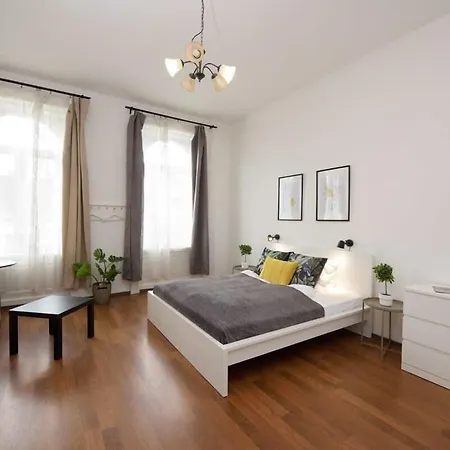 Large Cosy Apartament *